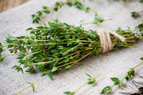Can Dogs Eat Thyme?