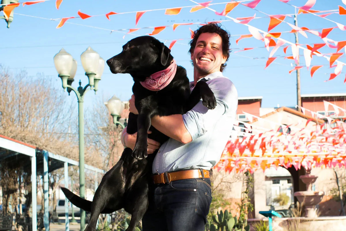 Image showcasing Corn-Free Dog Food: Why You Should Consider It – A Pup Above
