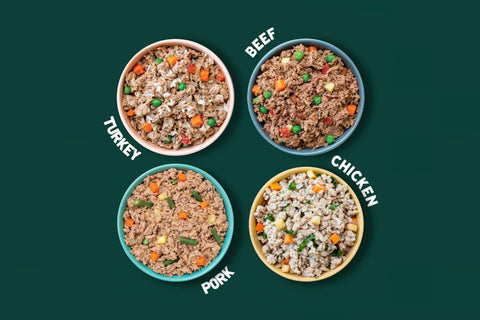 Fresh Dog Food vs. Kibble: How the Formats Actually Differ