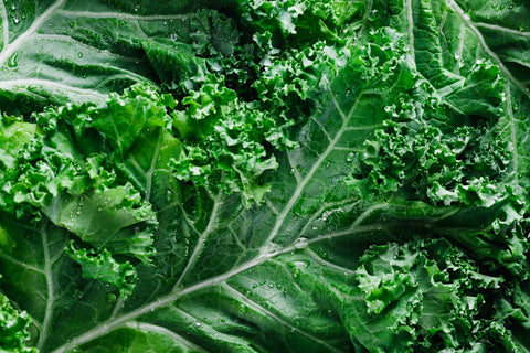 Can Dogs Eat Kale?