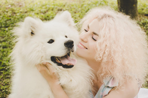 Anti-Inflammatory Diet for Dogs: Best Foods & Tips