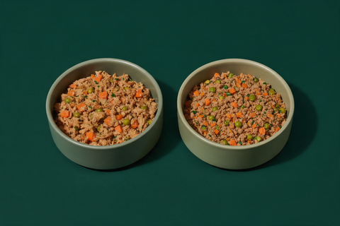 Two bowls of dog food side by side on a deep green background, one coarse and shredded, the other a finer ground texture