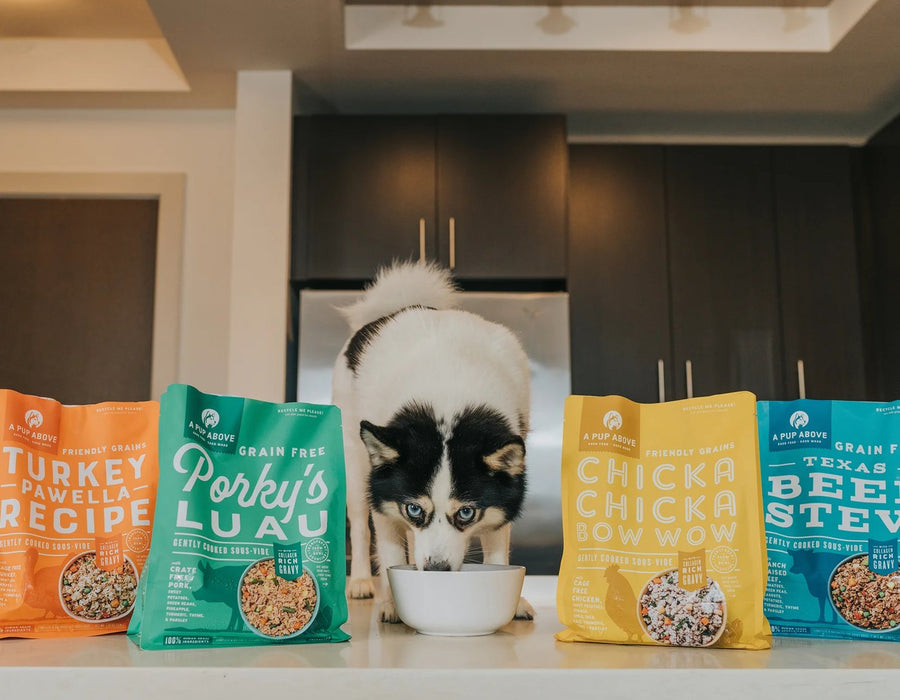 A husky puppy eating from a bowl, surrounded by A Pup Above fresh dog food packages