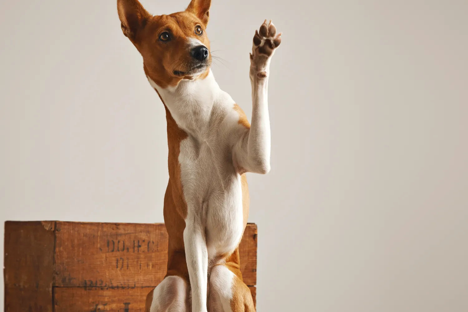Featured Blog Image