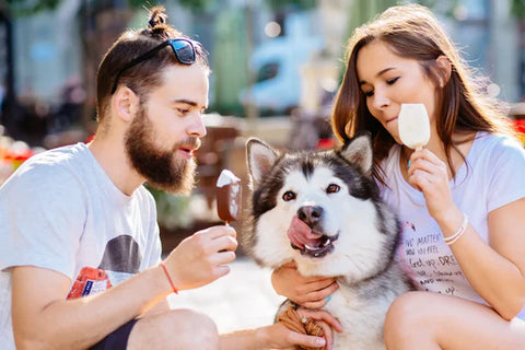 Can Dogs Eat Ice Cream? A Few Dog-friendly Ice Cream Recipes