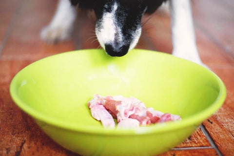 Can Dogs Eat Raw Chicken? Unpacking the Myths and Facts