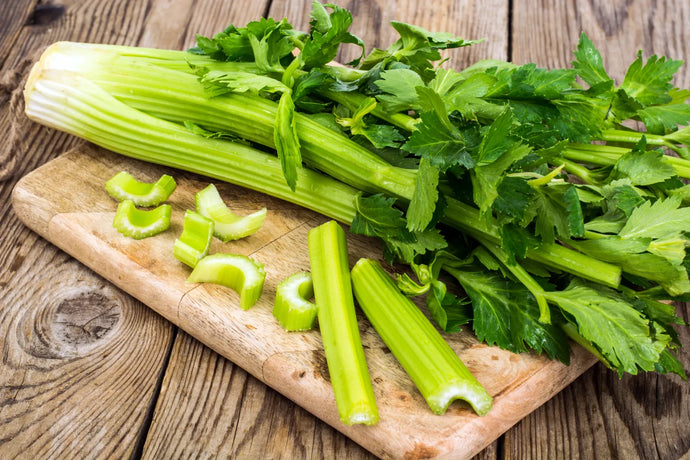 Can Dogs Eat Celery? Exploring the Pros and Cons