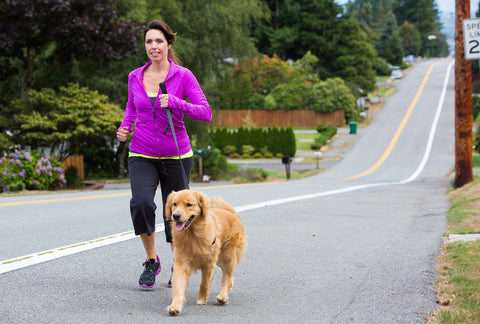 How Much Exercise Does a Dog Need?