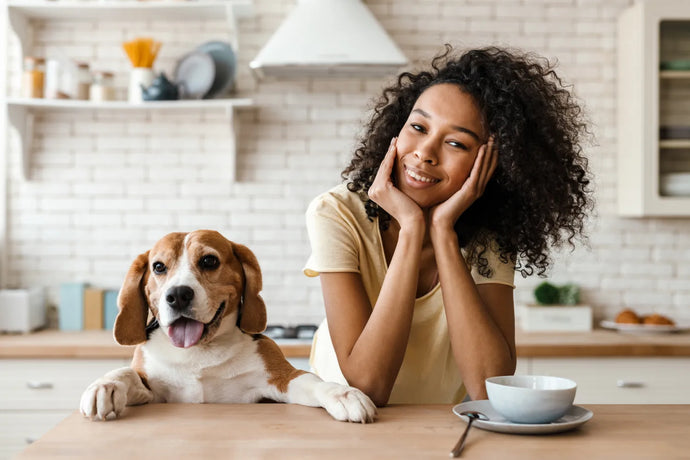 How To Make Homemade Dog Food & Treats