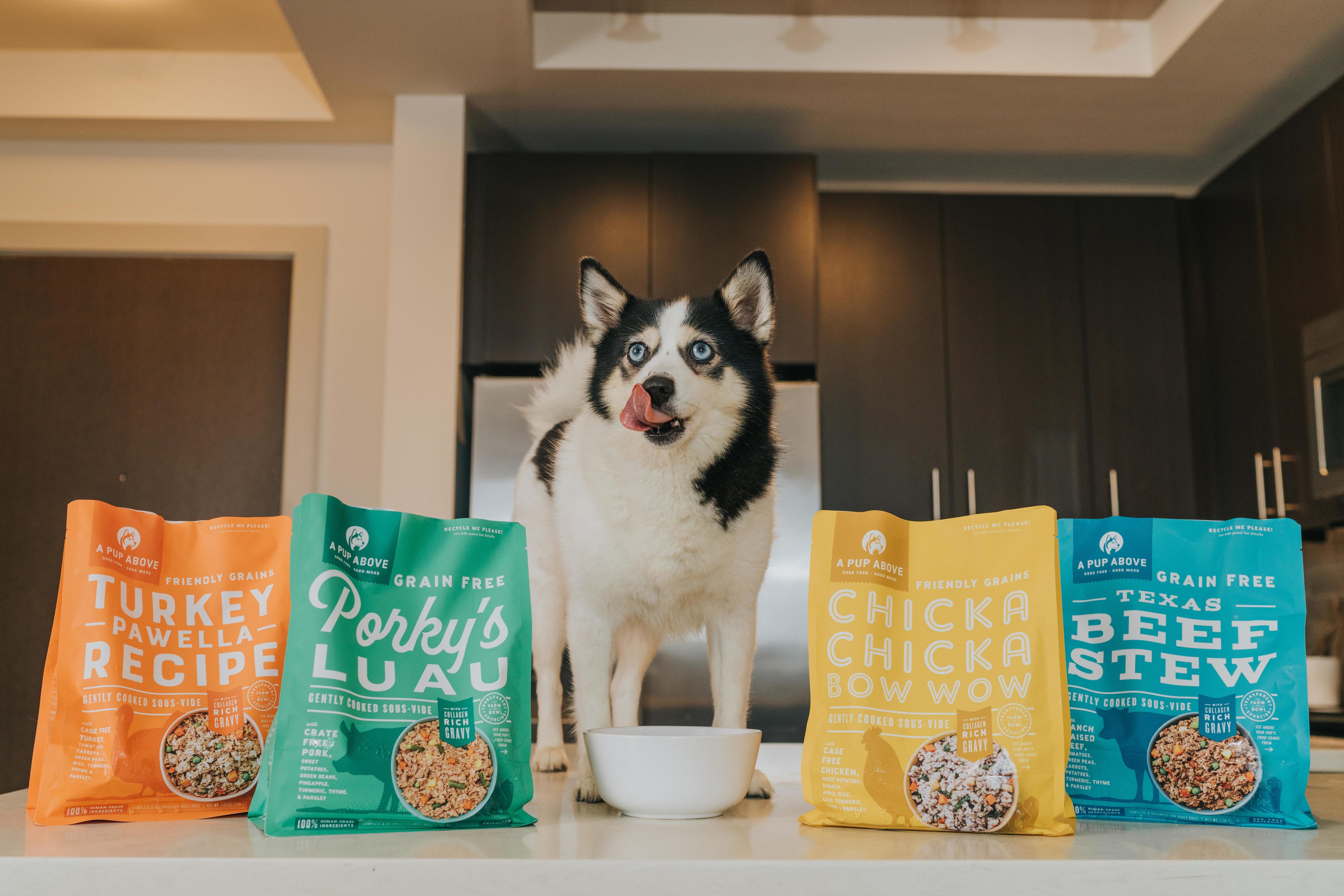 What is human-grade dog food?