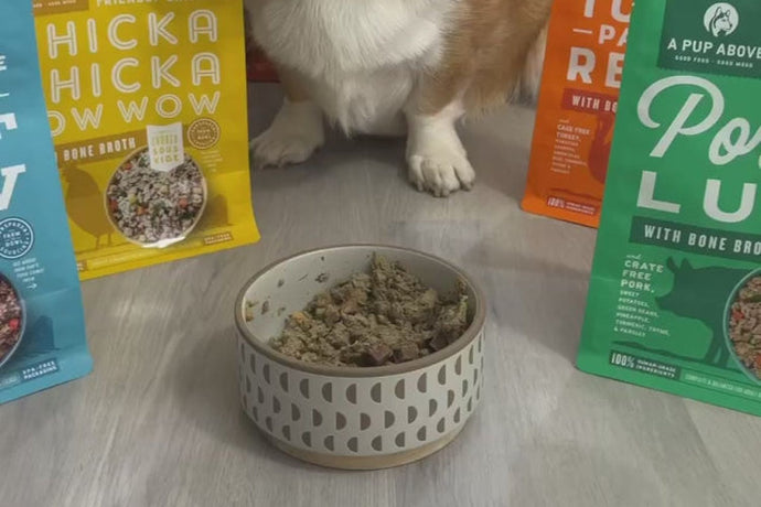 What Is Wet Dog Food? Is It Good for Your Pup?