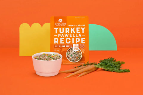 Why Feed Gently Cooked Dog Food To Your Pup