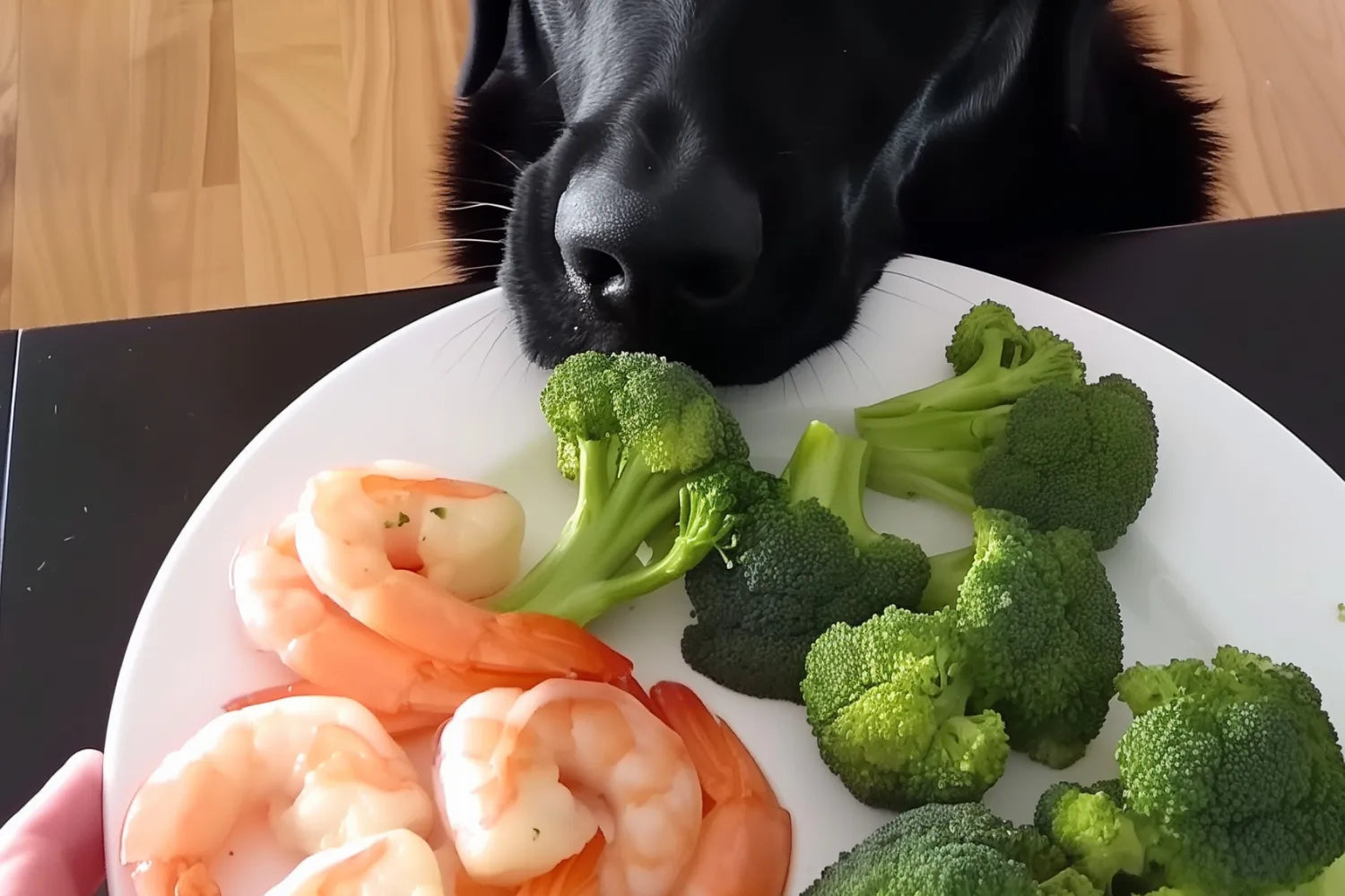 Can Dogs Eat Shrimp Is It Bad for Them A Pup Above