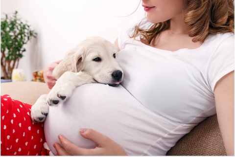 Can Dogs Sense Pregnancy? The Power of Pack Connection