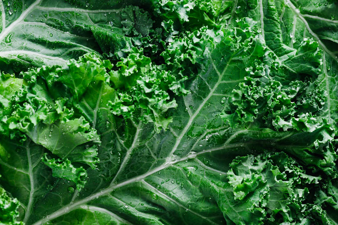Can Dogs Eat Kale?