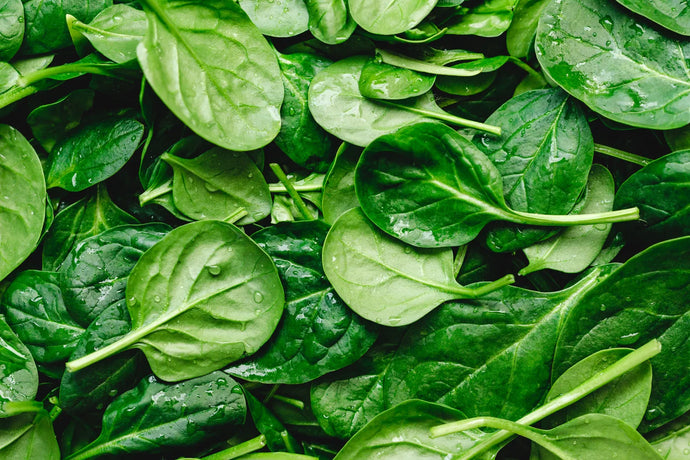 Can Dogs Eat Spinach?