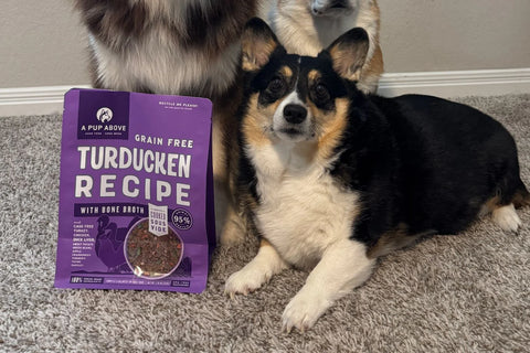 Canned Dog Food vs. Fresh Dog Food