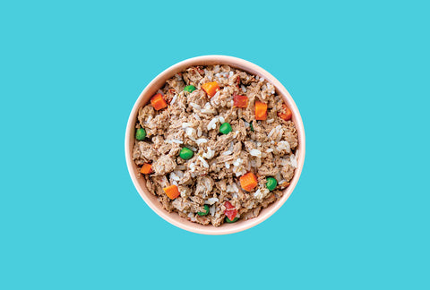 What Is Human-Grade Dog Food?