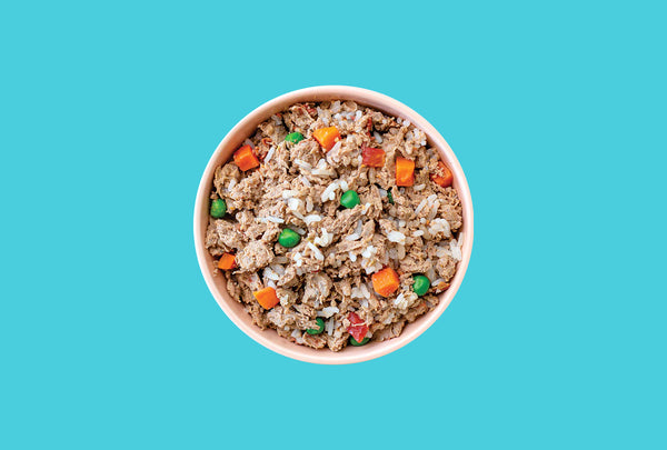 What Is Human-Grade Dog Food?