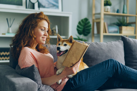 reading dog food ingredient lists