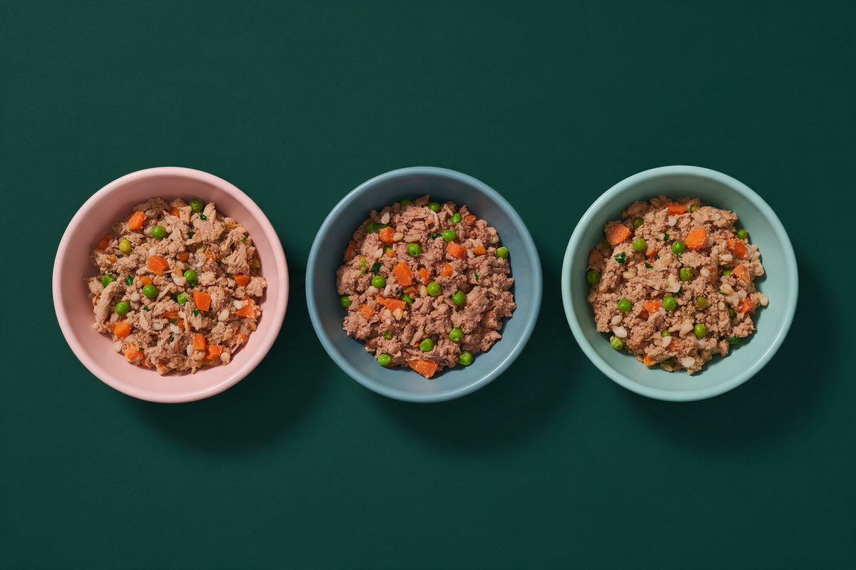 Three ceramic bowls of gently cooked dog food in a row on a deep green background, each a different recipe with visible shredded meat, diced carrot and green peas