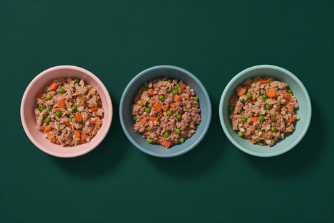 Three ceramic bowls of gently cooked dog food in a row on a deep green background, each a different recipe with visible shredded meat, diced carrot and green peas