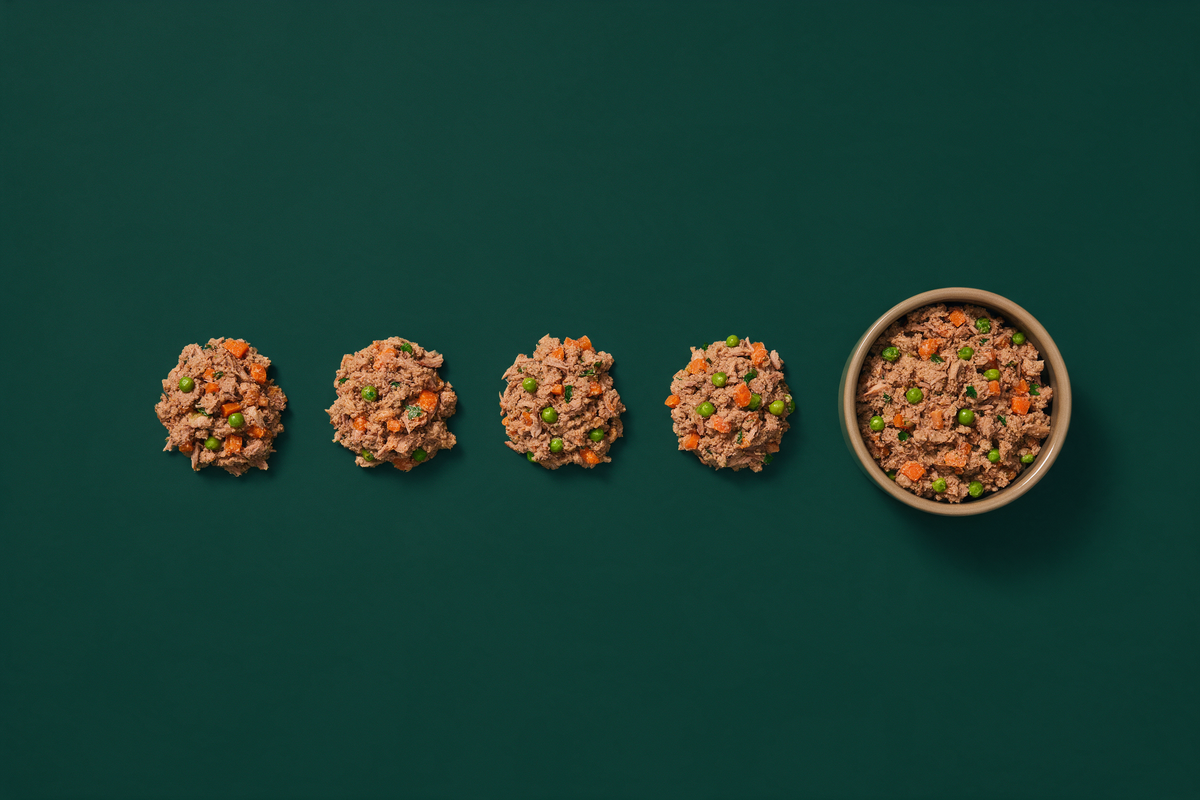 Four evenly spaced identical portions of gently cooked dog food in a row on a deep green background, with a served bowl at the end