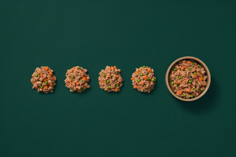 Four evenly spaced identical portions of gently cooked dog food in a row on a deep green background, with a served bowl at the end