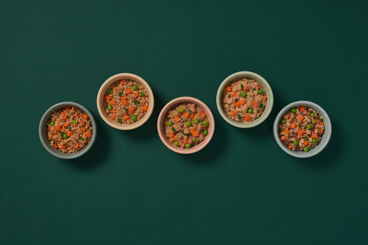 Five small bowls arranged in an arc on a deep green background, each holding a visibly different dog food texture