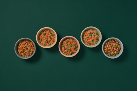 Five small bowls arranged in an arc on a deep green background, each holding a visibly different dog food texture