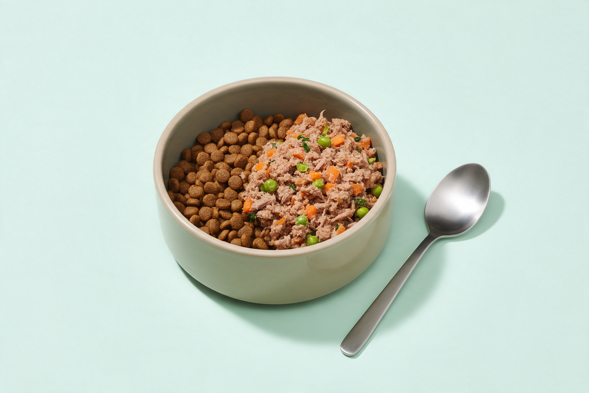 A bowl of dry kibble with a spoonful of gently cooked fresh food spooned over one side, a spoon resting alongside