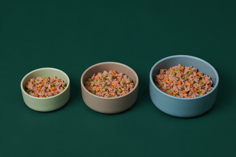 Three bowls of gently cooked dog food in graduated sizes from small to large on a deep green background