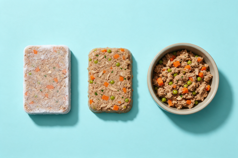 Three stages of dog food left to right on a pale blue background: a frozen frosted block, a half-thawed portion, and a served bowl