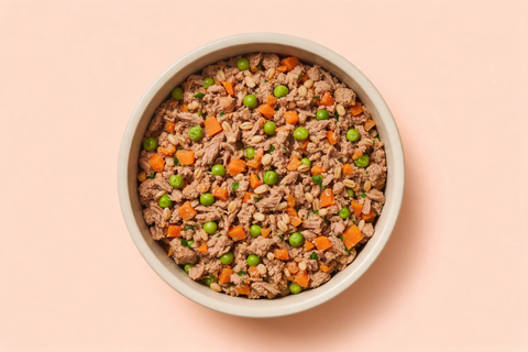 A single generous bowl of gently cooked dog food centred on a soft peach background
