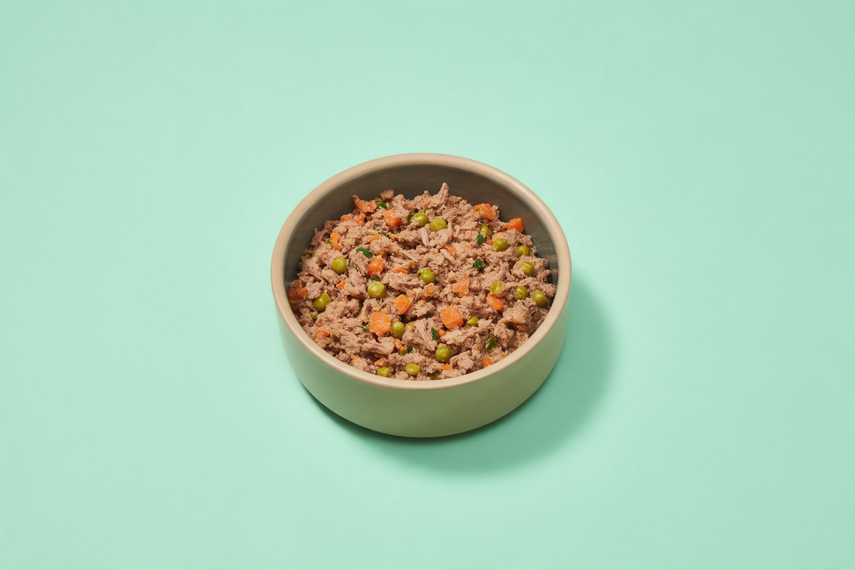 A single simple bowl of gently cooked dog food on a pale mint background with generous uncluttered space around it