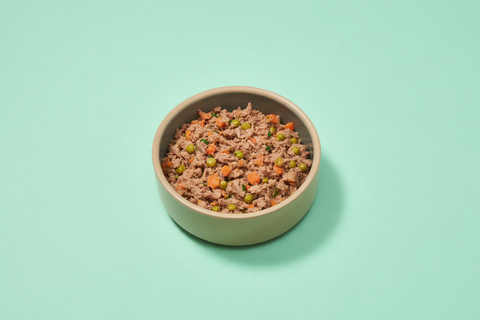 A single simple bowl of gently cooked dog food on a pale mint background with generous uncluttered space around it