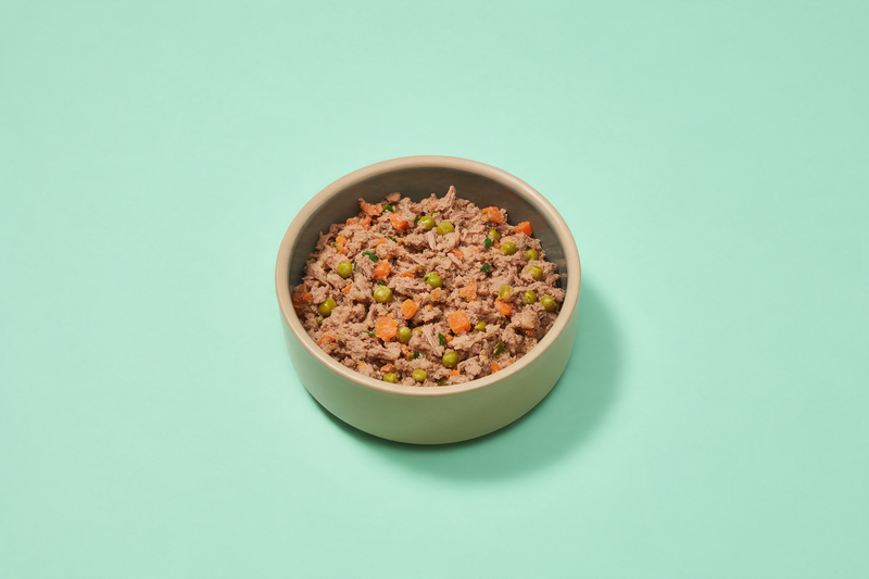 A single simple bowl of gently cooked dog food on a pale mint background with generous uncluttered space around it