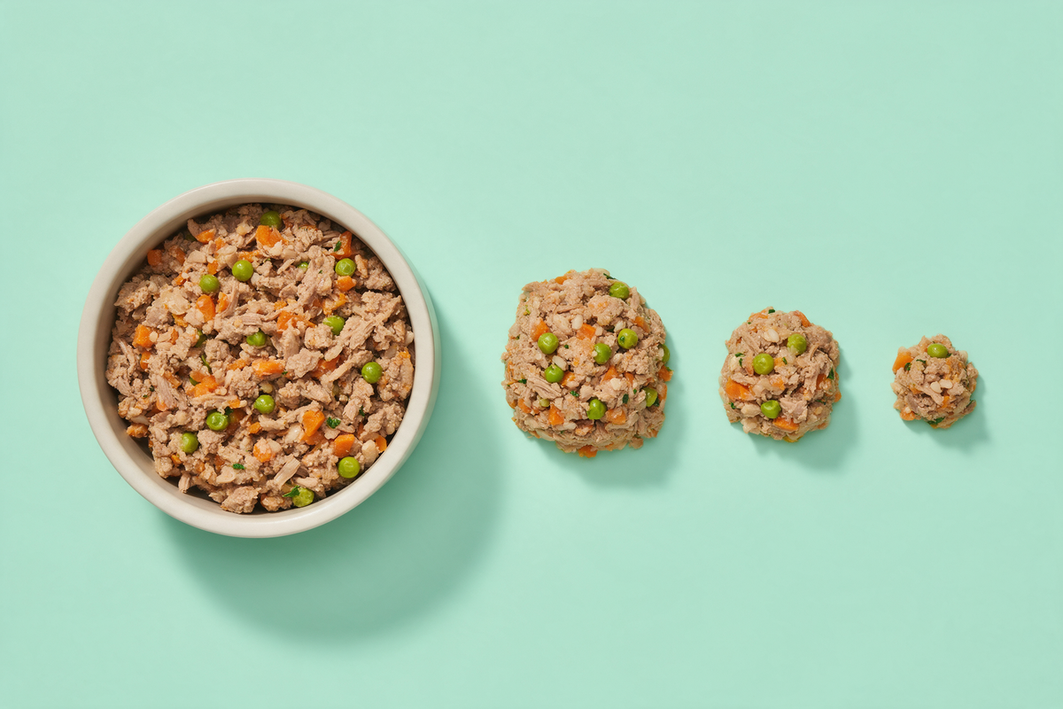A bowl of gently cooked dog food beside four portioned mounds of the same food descending in size, on a pale mint background
