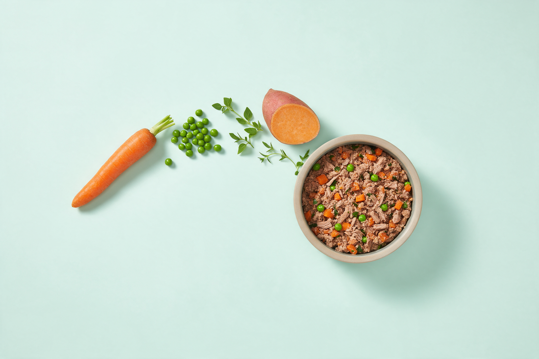 Whole carrot, fresh peas, herb sprigs and a halved sweet potato arranged in an arc leading to a finished bowl of gently cooked dog food