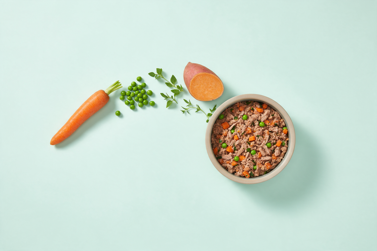 Whole carrot, fresh peas, herb sprigs and a halved sweet potato arranged in an arc leading to a finished bowl of gently cooked dog food