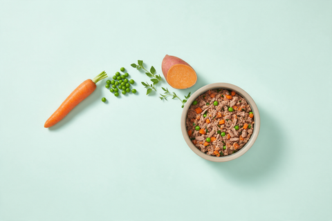 Whole carrot, fresh peas, herb sprigs and a halved sweet potato arranged in an arc leading to a finished bowl of gently cooked dog food