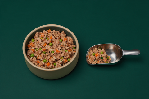 A bowl of gently cooked dog food on a deep green background with a stainless measuring scoop of the same food resting beside it