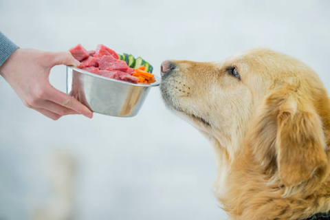 How Many Calories Are in Dog Food?