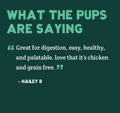 Four bags of grain-free dog food with text featuring a customer testimonial on teal background.