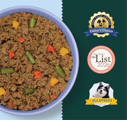 Ground fish-based dog food with peas, carrots, and corn in a light blue bowl.
