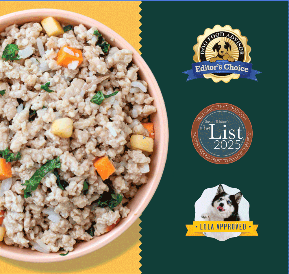 Digestive System Homemade Food For Dogs With Sensitive Stomach