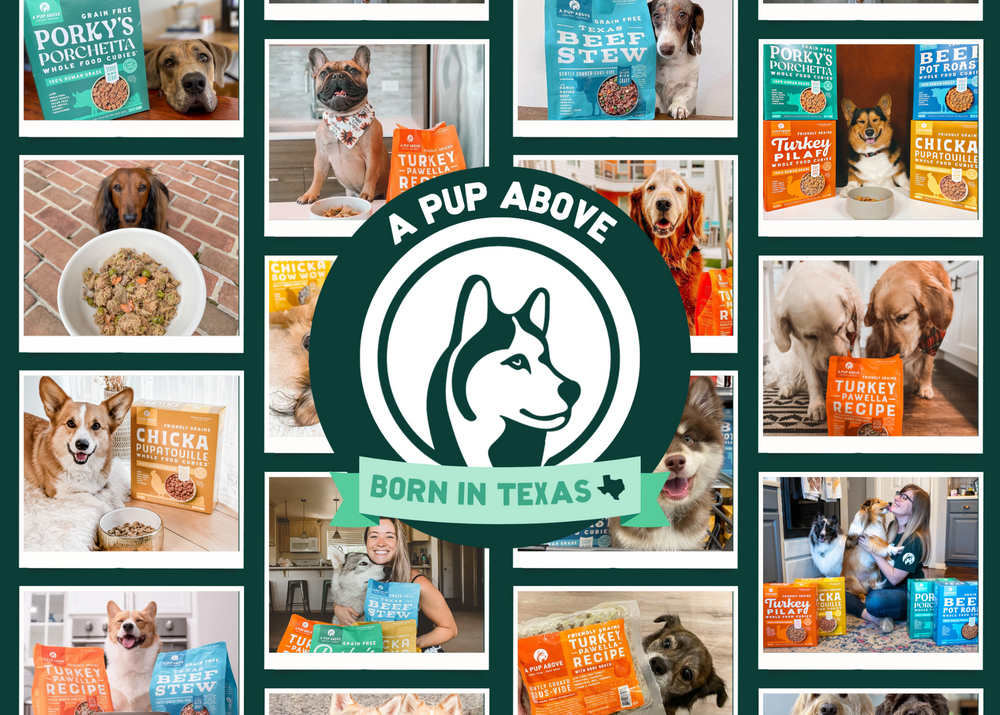 Chicka Chicka Bow Wow: Fresh, Hormone-Free Chicken Dog Food