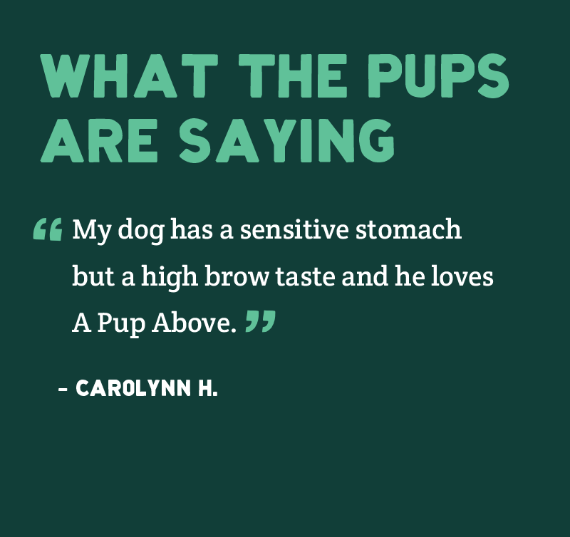 Customer testimonial on dark teal background with light green text praising sensitive stomach dog food product.