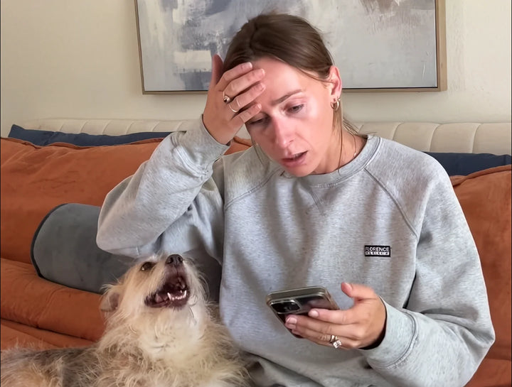 A first-person story from a dog parent in Austin, TX